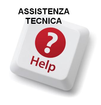 assistenza remota